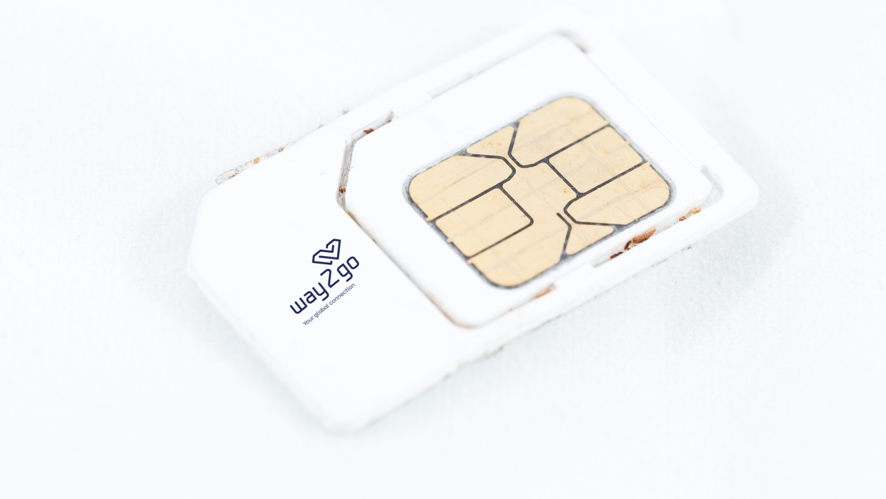 Why You Need a SIM for Singapore and Malaysia
