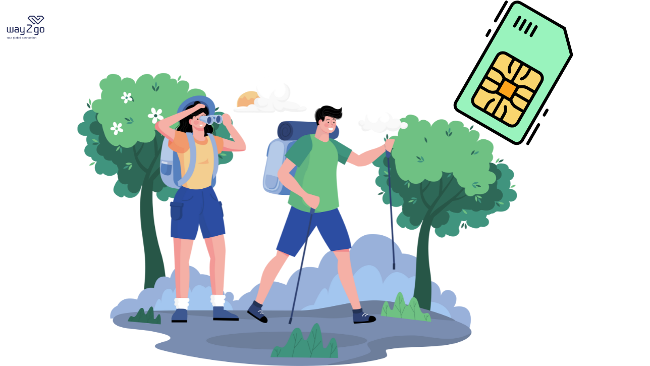 eSIM vs. Physical SIM: Which Suits You Best?