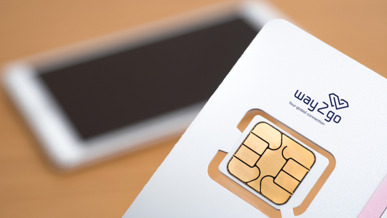 Data-only vs. SIM with calls & SMS