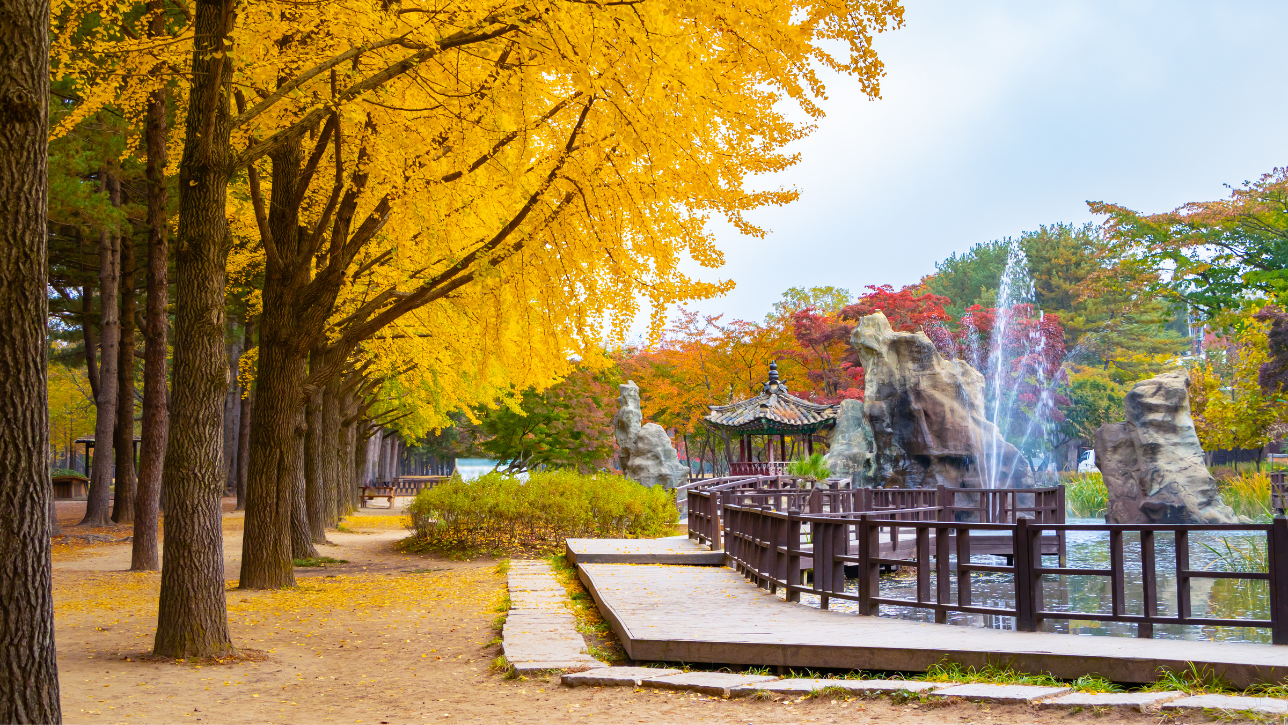 South Korea: a paradise for food lovers and modern explorers