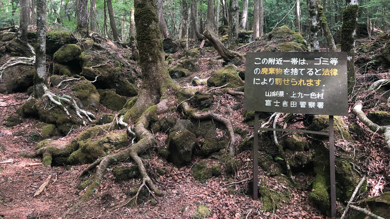 Aokigahara Forest, Japan