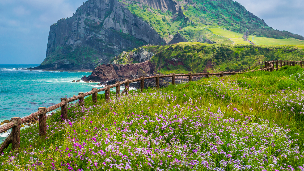 Con Dao Islands – Untouched and Wild