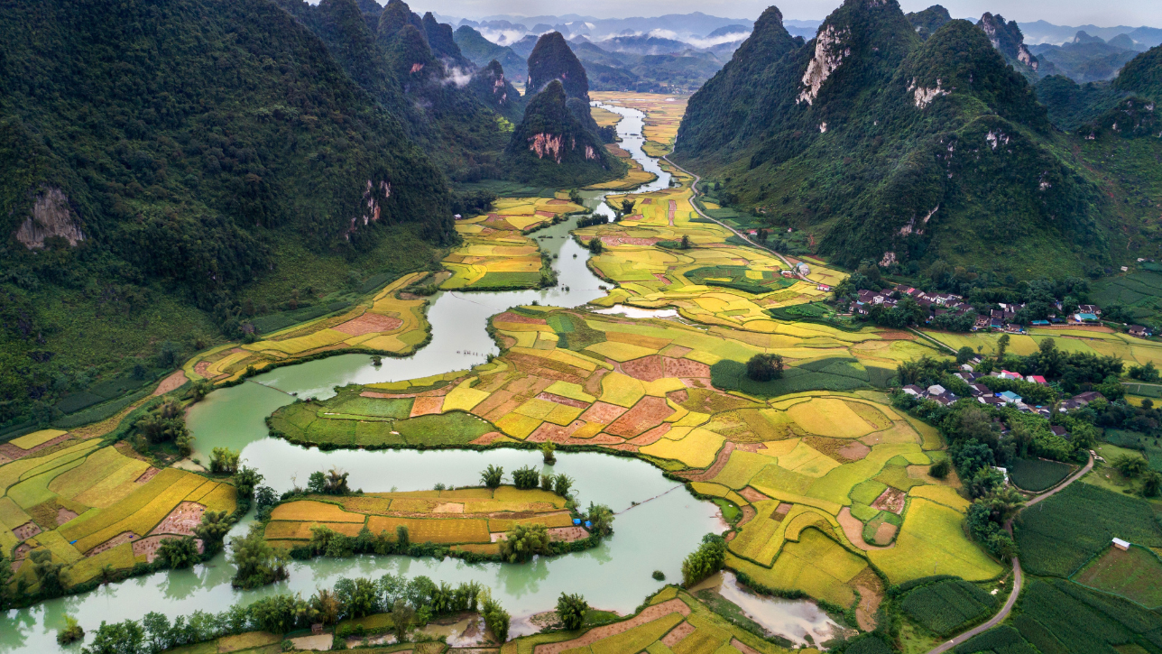 Growing Global Interest