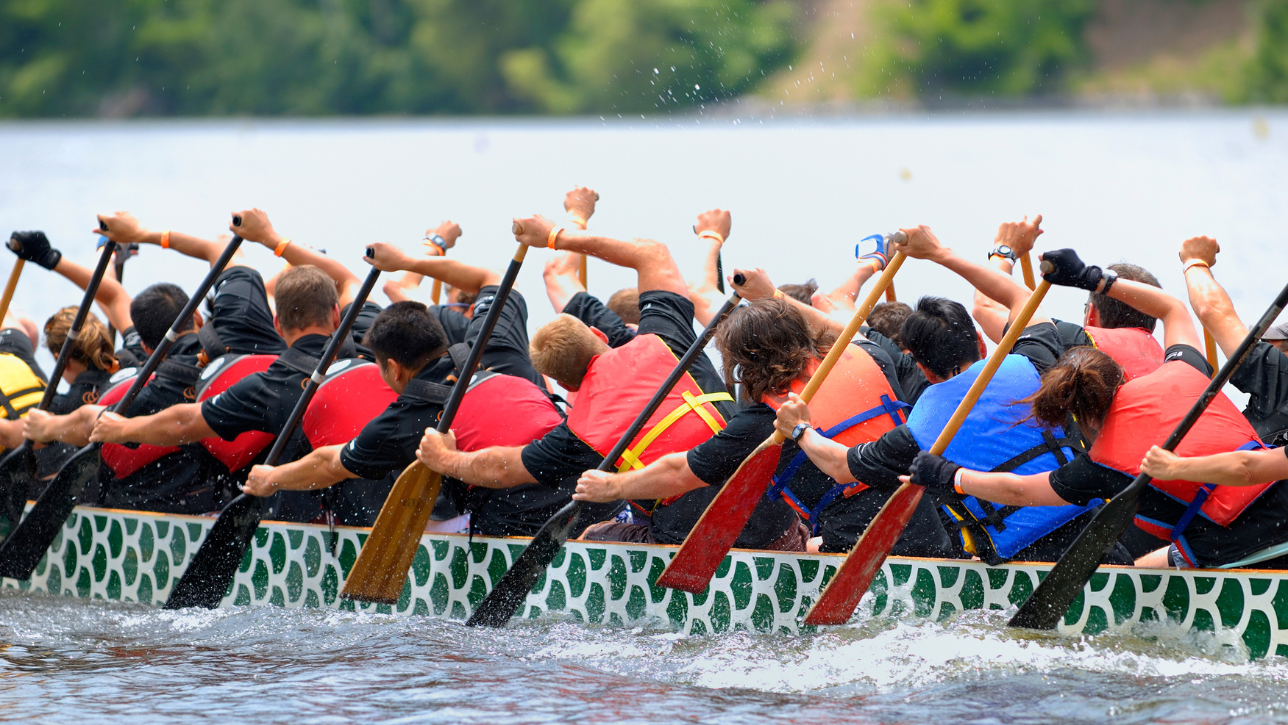 Tips for choosing the right Summer Festival for you