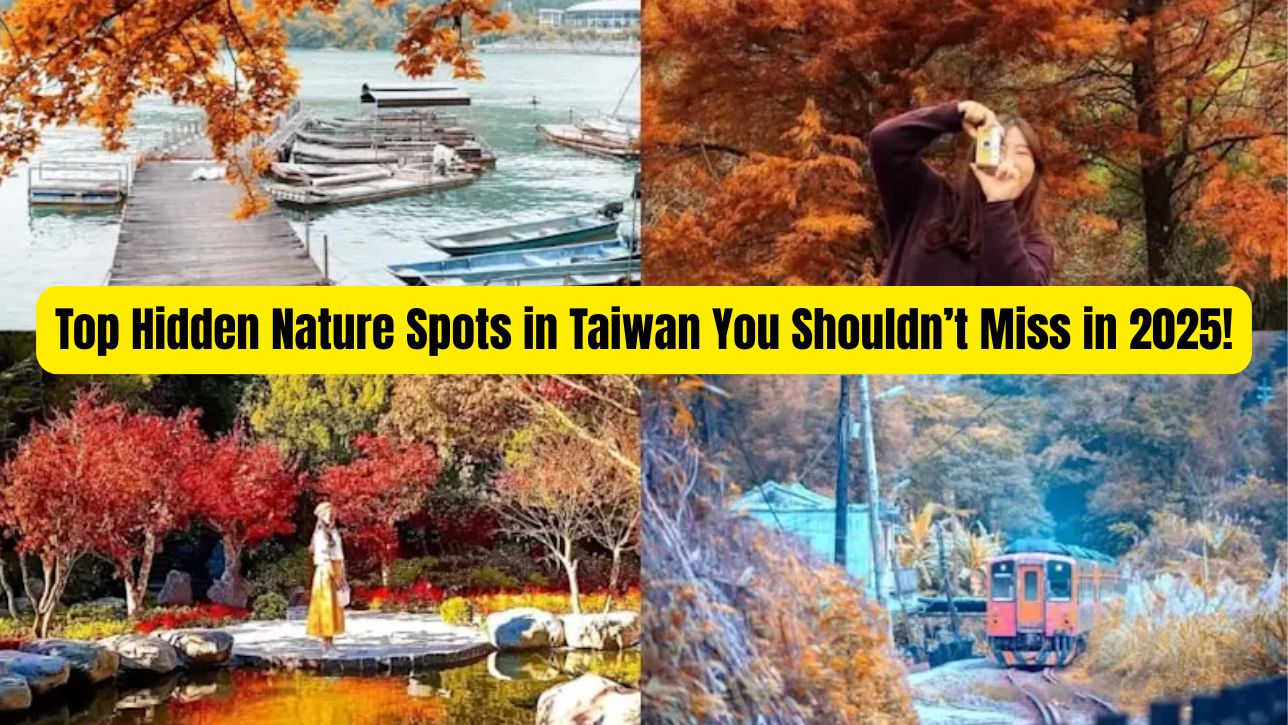 Top Hidden Nature Spots in Taiwan You Shouldn’t Miss in 2025!