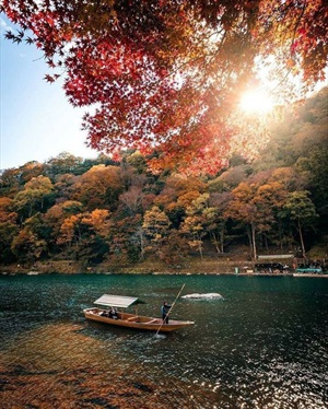 Khám Phá Rừng Tre Arashiyama: Bí ẩn và Sự Huyền Bí của Thiên Nhiên