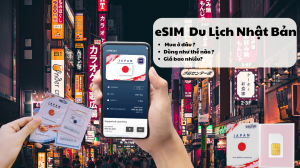 eSIM Nhật Bản: Mua ở đâu, dùng như thế nào, giá bao nhiêu?