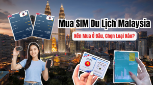 Mua SIM Du Lịch Malaysia - Nên Mua Ở Đâu, Chọn Loại Nào?