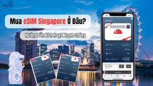 Mua eSIM Singapore Ở Đâu? Hướng Dẫn Kích Hoạt Nhanh Chóng