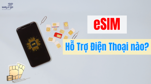 eSIM Hỗ Trợ Điện Thoại nào? Những Thiết Bị Hỗ Trợ eSIM Hiện Nay