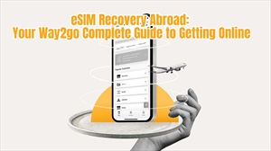 eSIM Recovery Abroad: Your Way2go Complete Guide to Getting Online