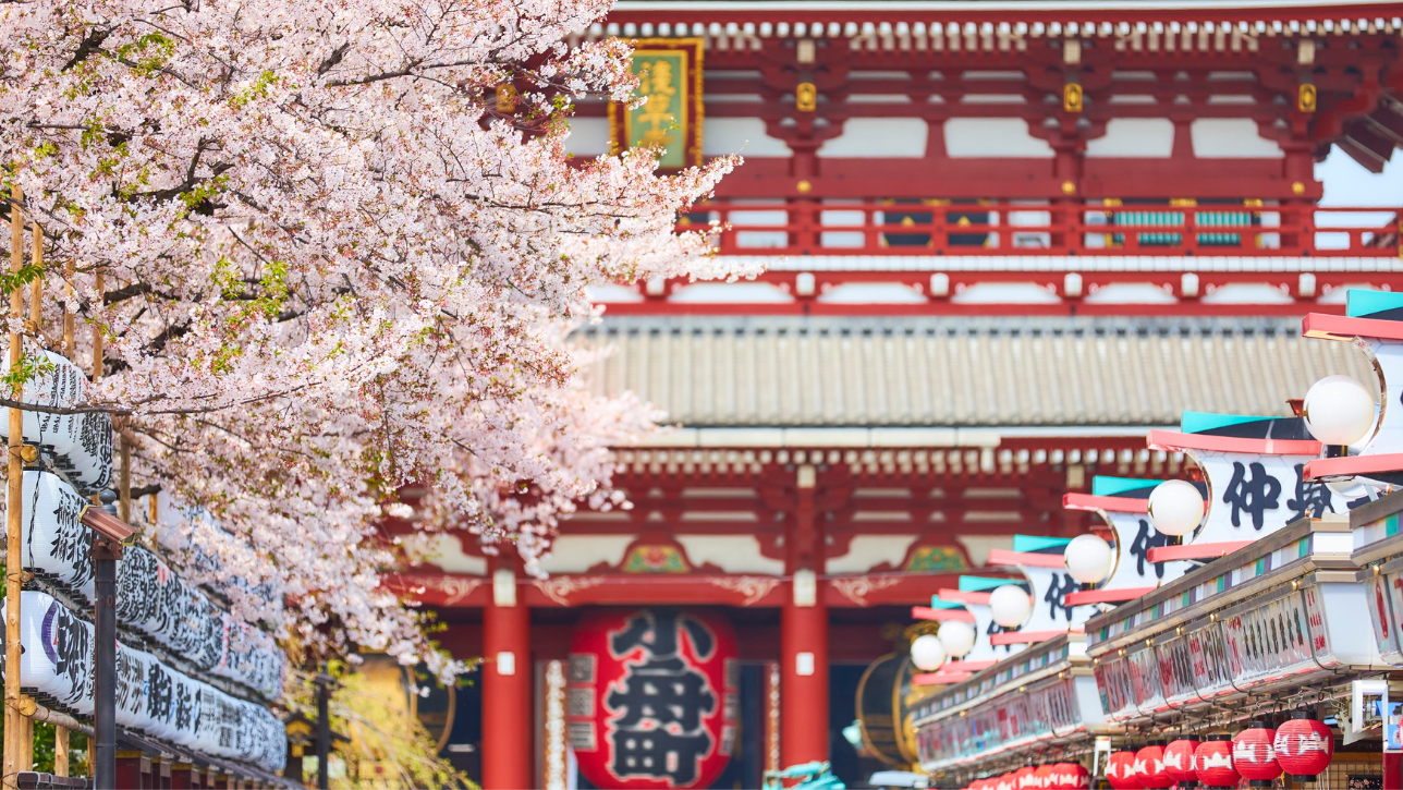 Food (Sakura-Themed Treats)