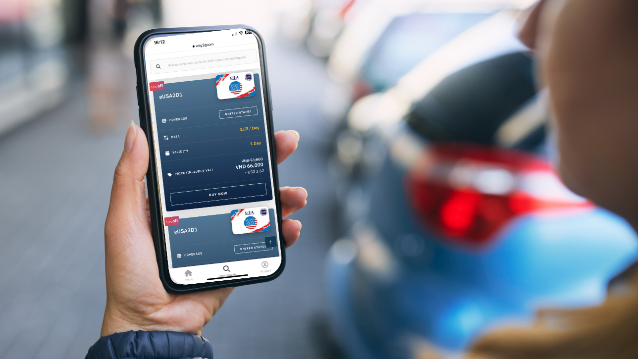 What is a travel SIM?