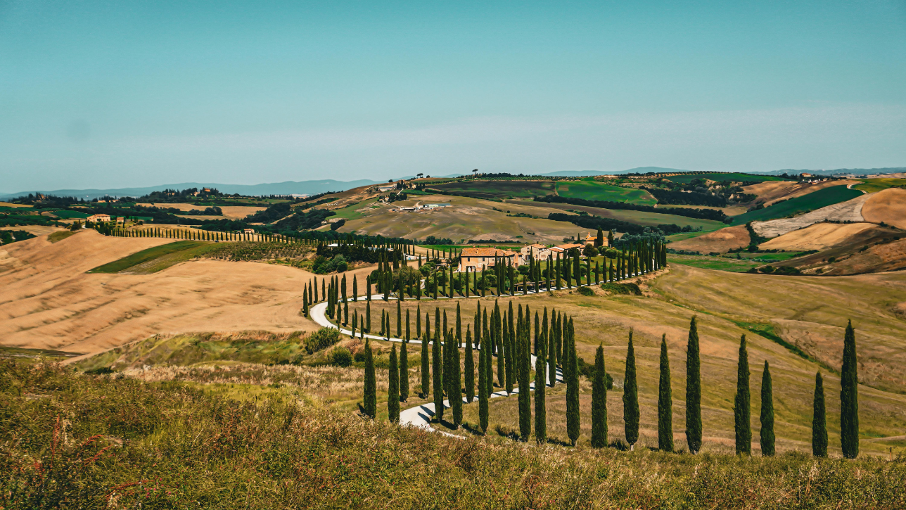 Tuscany, Italy – Wine Harvest Season in Full Bloom