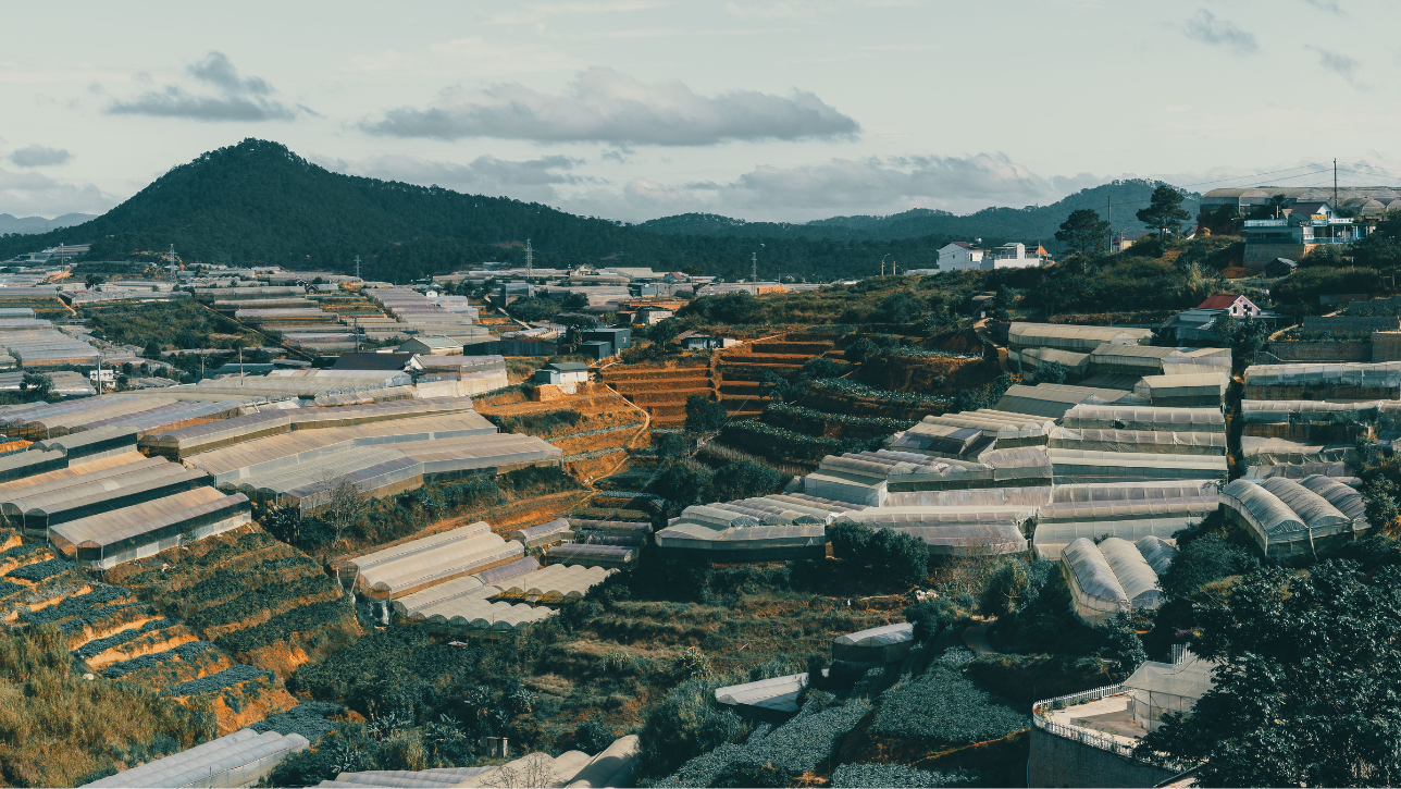 Đà Lạt – Việt Nam: Kỳ Nghỉ Xanh Giữa Núi Rừng