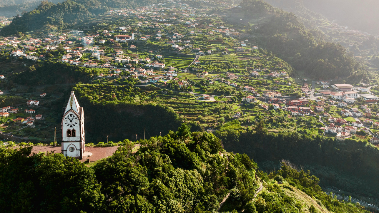 Rừng Laurel – Madeira, Bồ Đào Nha: Khu Nghỉ Dưỡng Giữa Thiên Nhiên