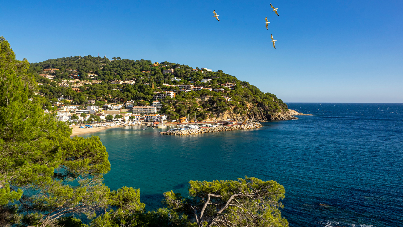 Uvita – Costa Rica: Điểm Đến Du Lịch Sinh Thái Nổi Bật Trung Mỹ